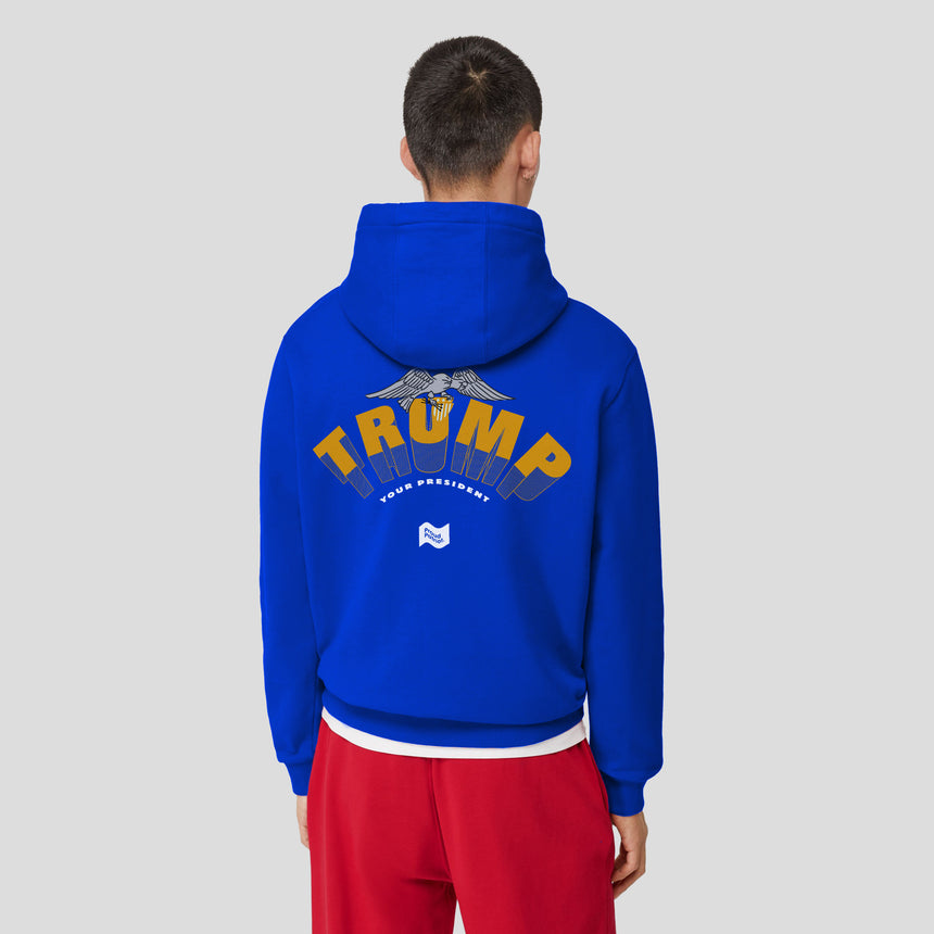 Your President Hooded Sweatshirt